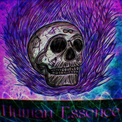 Human Essence
