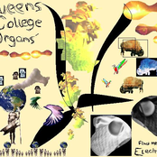 find me the electric car