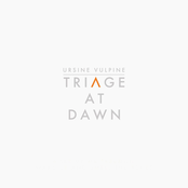 Triage at Dawn
