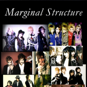 marginal structure