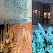 SELF ,EDICATING GALLERIA VR