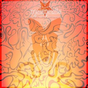 spiders snakes & butterflies (demo)