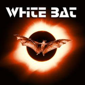 White Bat