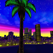 Palms and Skyline