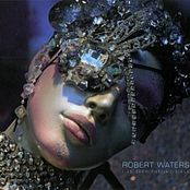 Puzzle Di Sogni by Robert Waters