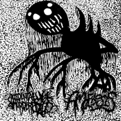 Accidentally Murdered / Amoebosis split