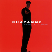 Nadie Como Tú by Chayanne