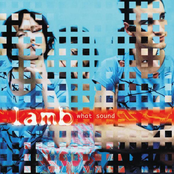 I Cry by Lamb