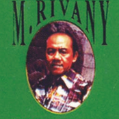 m. rivany