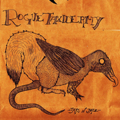 Days N Daze: Rogue Taxidermy