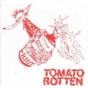 tomato rotten