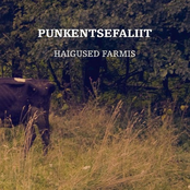 Kaupluse Kauboi by Punkentsefaliit