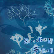 Stingray Steve