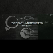 social anhedonia