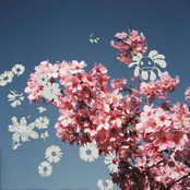 u can call me dillon