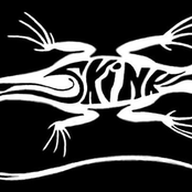 Skink (nebraska)