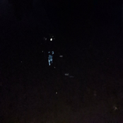 Beneath Interwoven Lagoons Lies Year-long the Belligerent Ancient Sunken Salmon