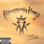 Discombobulated by Kottonmouth Kings