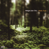 In The Wind Somewhere by Helge Lien Trio
