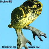 healing of the lunatic owl