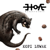 Kopi Luwak