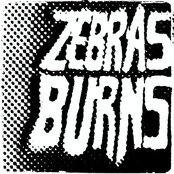 Zebras Burns (demo)