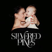 Silvered Pines - Single