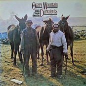 Watermill by The Ozark Mountain Daredevils