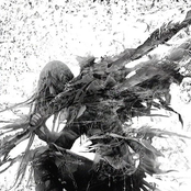 FALLEN ANGEL