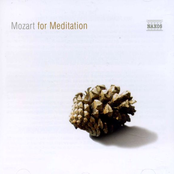 Mozart For Meditation