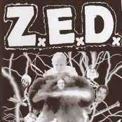Z.E.D. demo