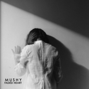 No More by Mushy