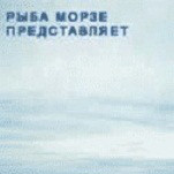 Новости подводного Ижевска - 1