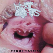 Fedor Vaginal