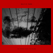 The Crowds Crash the Column