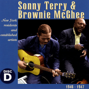 bd blues, volume 1: sonny terry & brownie mcghee