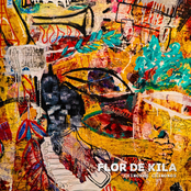 Flor de Kila