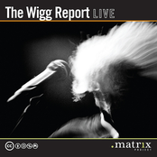 The Wigg Report Live at the dotmatrix project