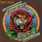 Robert Hunter: Tiger Rose