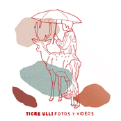 Fotos y Videos - Single