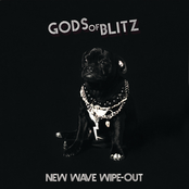 New Wave Wipe Out