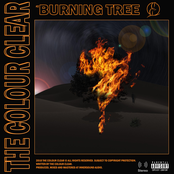 Burning Tree