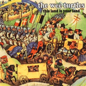 Why The Bombers? by The Wee Turtles