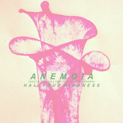 Hail Your Highness: Anemoia (Nostalgia for a Time You've Never Known)