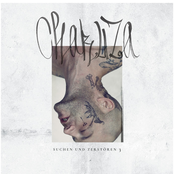 Suchen und Zerstören 3