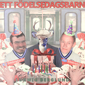 Ett Födelsedagsbarn