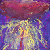 Mister Sillythought's Silly Thoughts