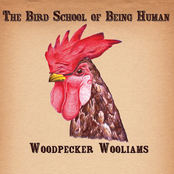 Dove by Woodpecker Wooliams