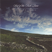 Soul of the Irish Piano