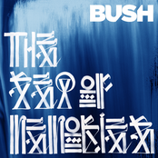 The Sound Of Winter by Bush